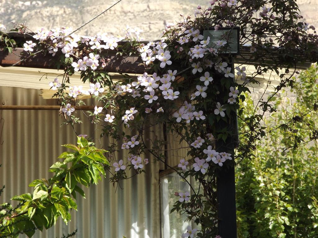 אל קלפטה Kiritina'S House Homestay חדר תמונה